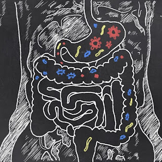 Probiotica, prebiotica, orale probiotica