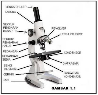 Mikroskop Cahaya