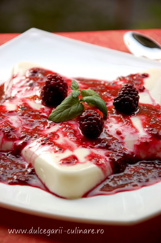 Panna Cotta Cu Fructe De Padure Dulcegarii Culinare