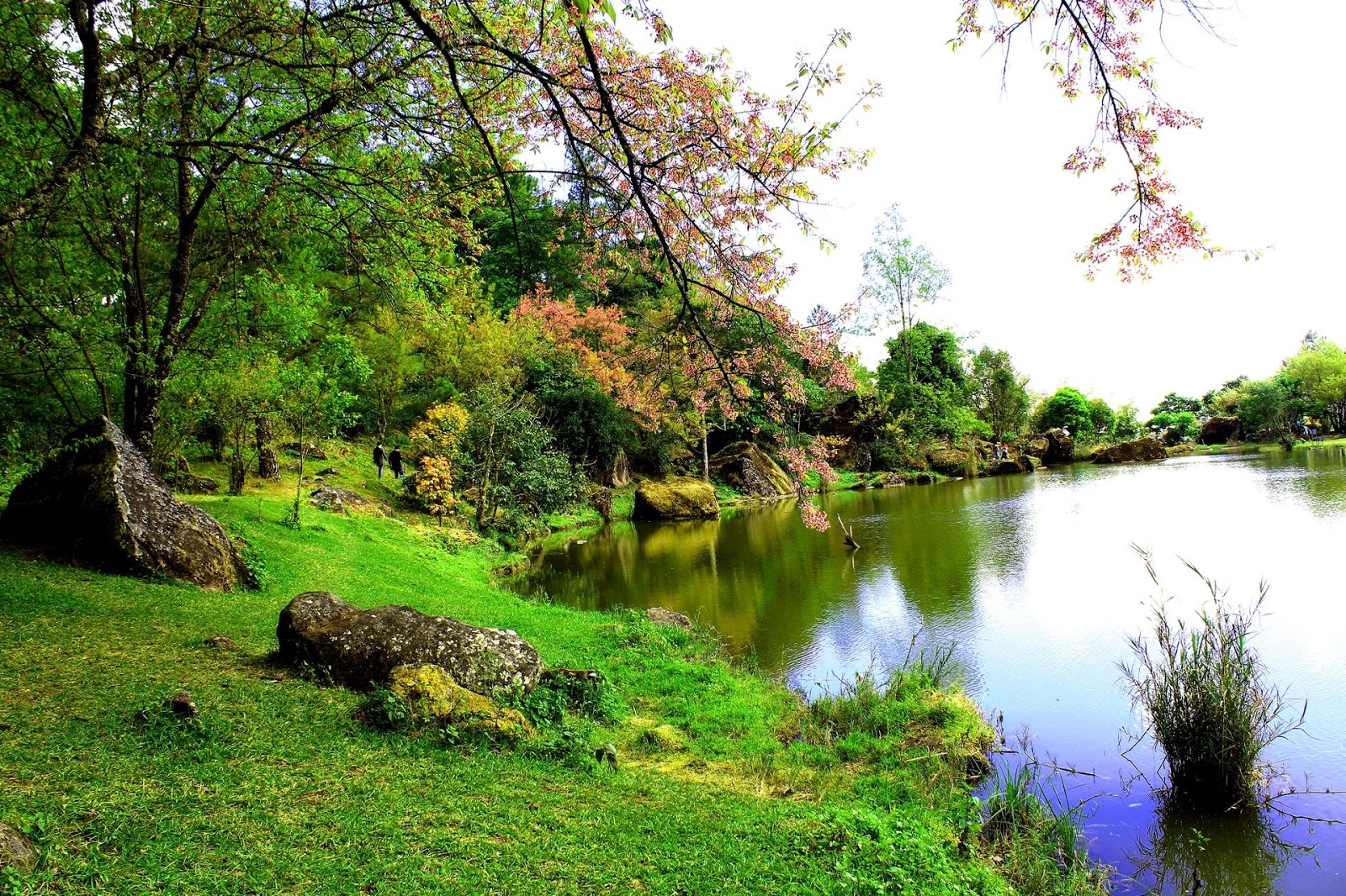 Foto Foto Pemandangan Taman Indah Berseni Gambar Indah