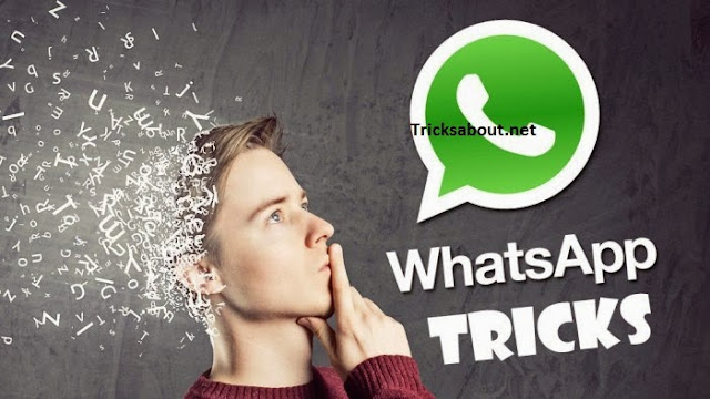 Most Important WhatsApp Tips And Tricks You Should Know