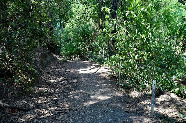 Pantano de Can Borrell ( Sant cugat del valles)