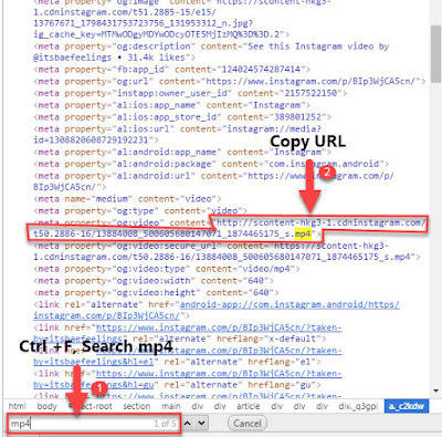 Step 3 - How To Download Instagram Videos on PC Using Chrome