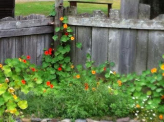 Garden at Eckley Miners' Village (AKFox photo)