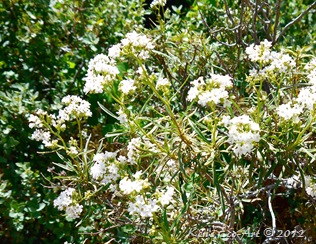 E-P1110577
