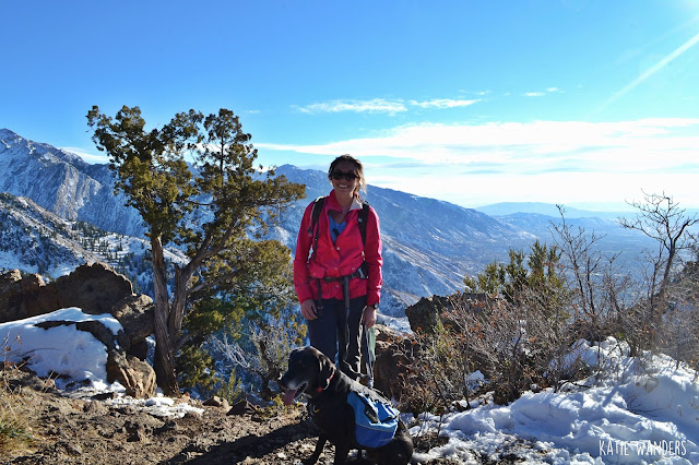 Views from the Saddle Mount Olympus Trail