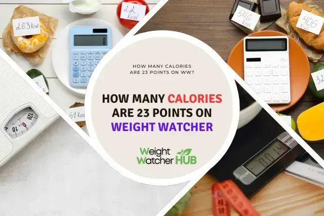 How many calories are equivalent to 23 Weight Watchers points