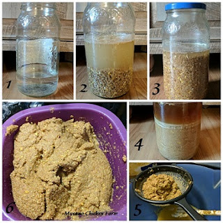 How to ferment chicken feed