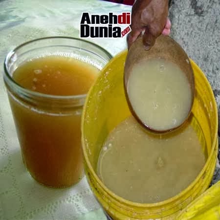 Minuman Keras Dengan Bahan Paling Aneh Di Dunia