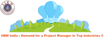 IIBM India Project Manager