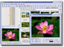 FastStone Image Viewer 5.2 download Final full version