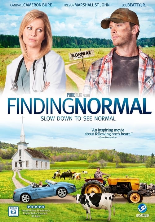 [HD] Finding Normal 2013 Streaming Vostfr DVDrip