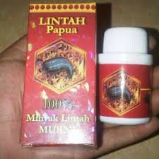 Jual Minyak Lintah Papua Di Bima