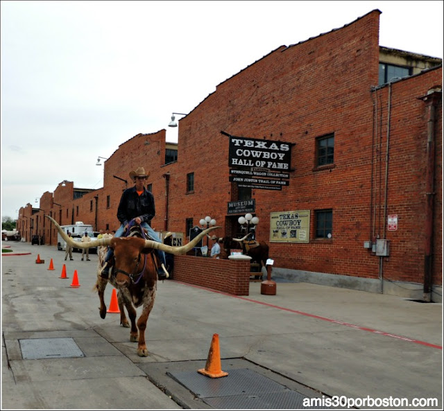 Vaqueros en Fort Worth Stockyards, Texas