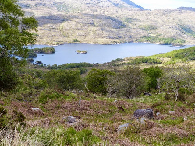 visite parc national de Killarney Irlande