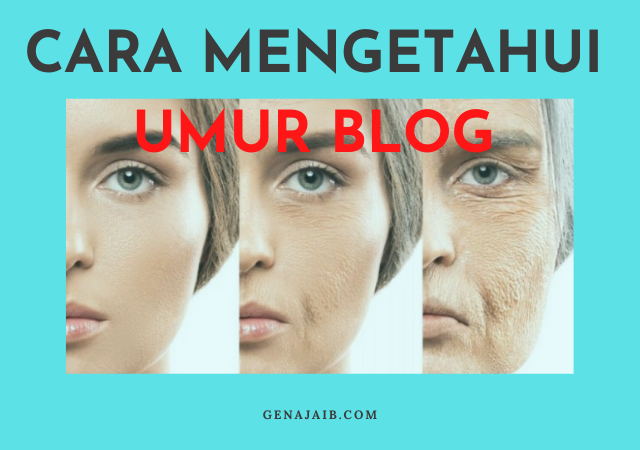 Cara Mengetahui Umur Blog