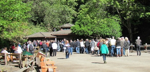 HikingthroughMuirWoods-1-2012-04-15-15-39.jpg