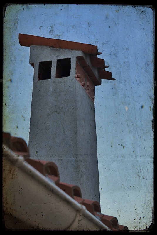 DSC_3782t
