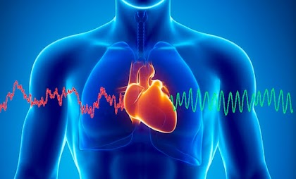 اعراض تضخم القلب cardiomegaly
