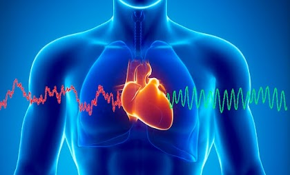 اعراض تضخم القلب cardiomegaly