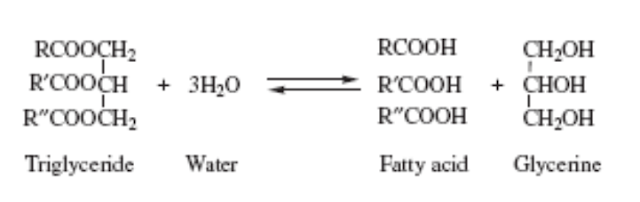 reaksi fat splitting