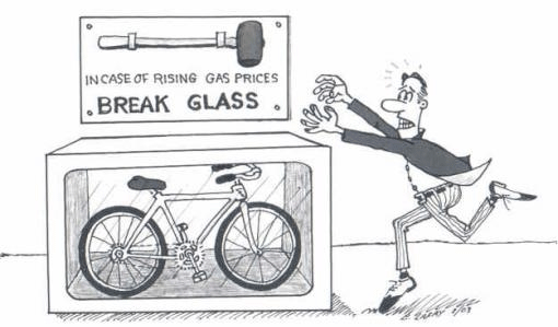 (Below: a cartoonist evokes Miranda the Devine's epic bike ride).