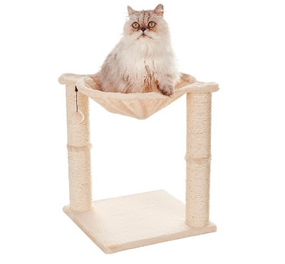 Amazon Basics Cat Condo Tree Tower