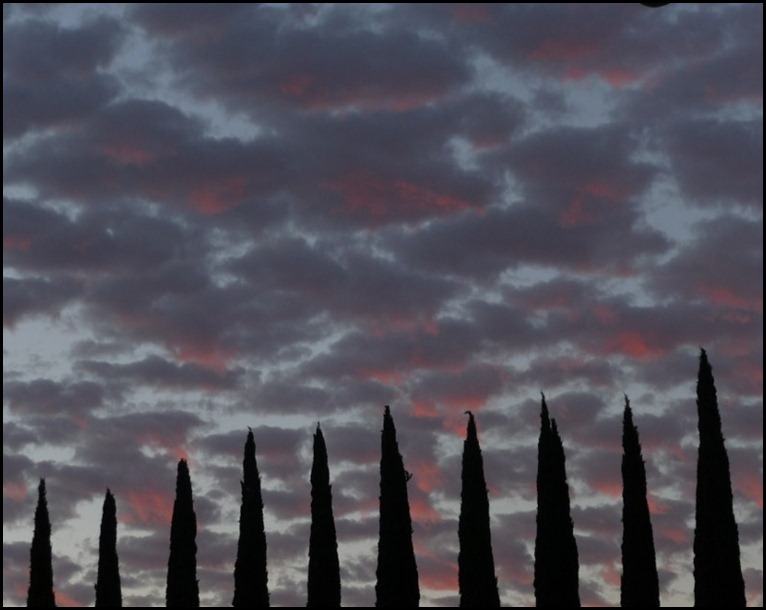 sunrise 015 (800x600)