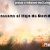 Hossana al Hijo de David