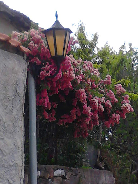 stavroupoli xanthi stavroupoli xanthi