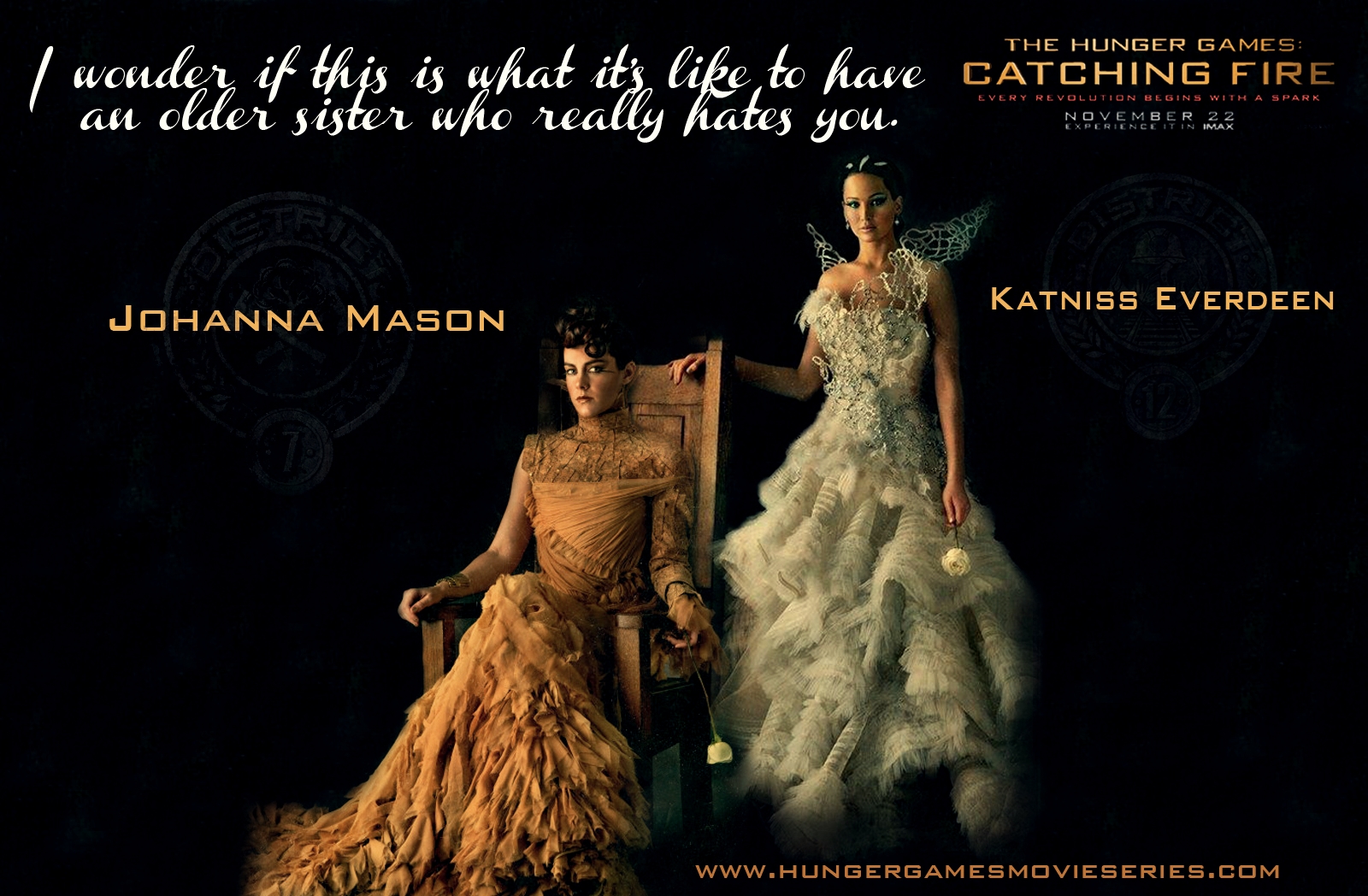 Catching Fire Movie Wallpapers ~ The Hunger Games Movie Series