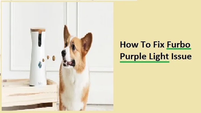 How To Fix Furbo Purple Light Issue [Updated 2024]