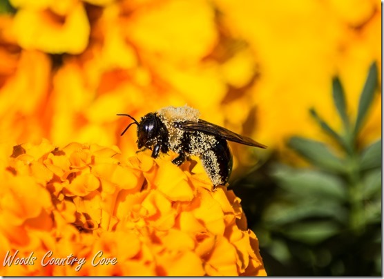 SEPTMEBER 2016 (63 of 68)