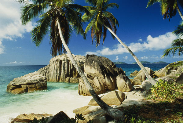 A picture of one of a splendid Seychelles beaches