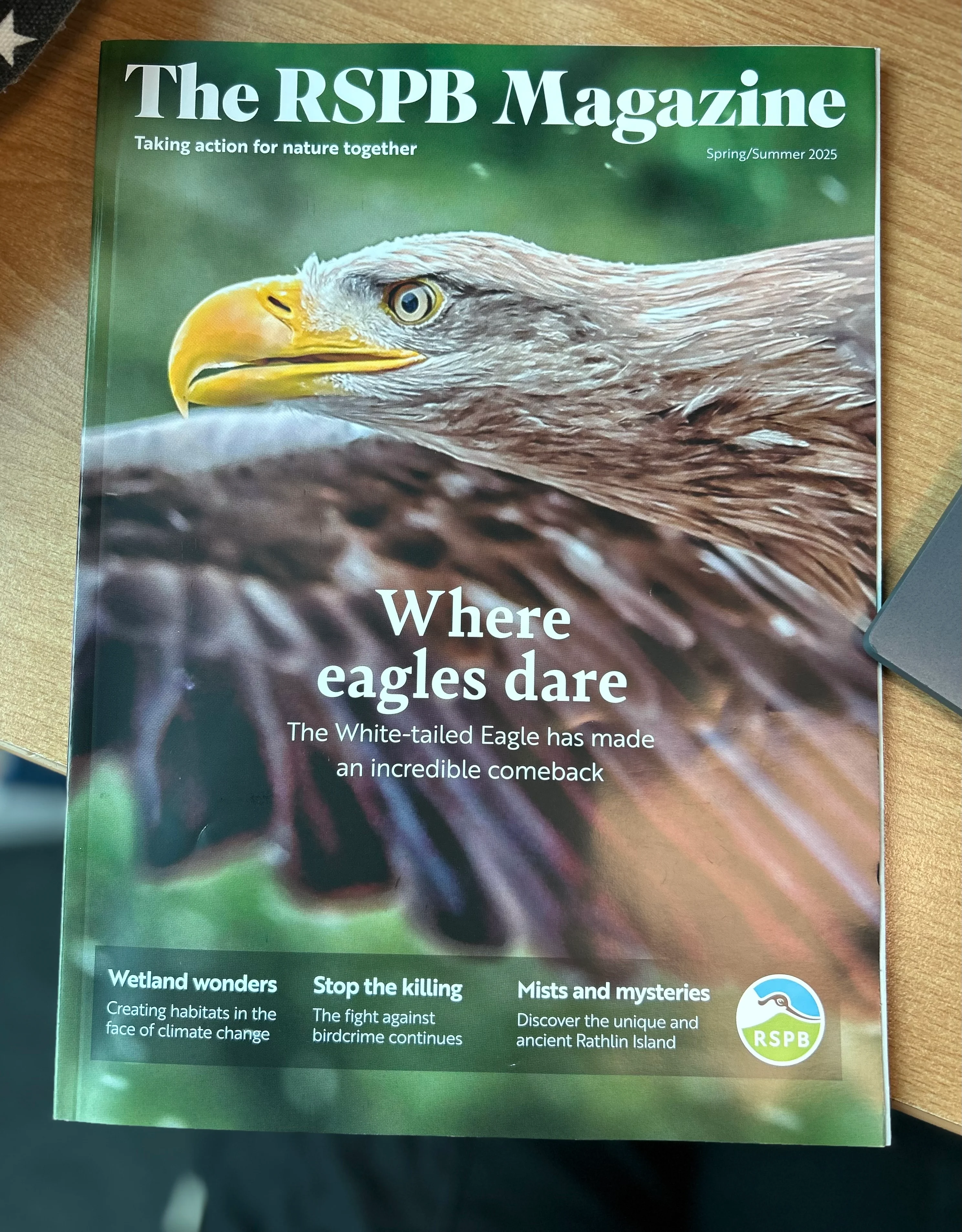 RSPB Spring/Summer 2025 magazine cover featuring a white-tailed eagle.