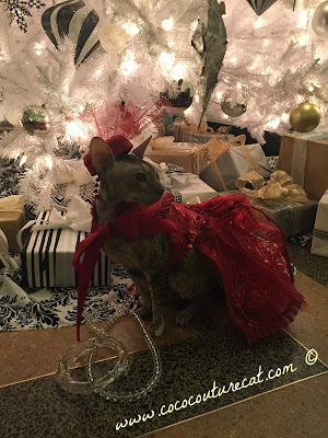 Coco Cornish Rex Christmas Couture Gown NYC