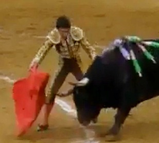 Tomas012