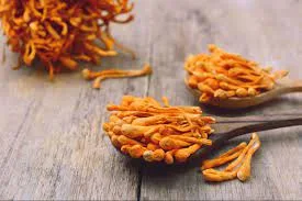 Cordyceps Mushroom Training In Gadchiroli