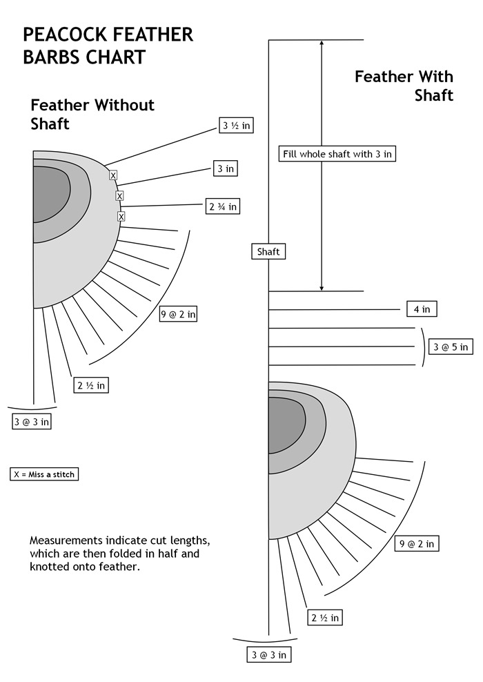 Peacock Feather Barbs Chart