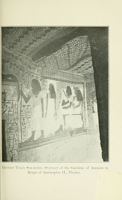 داخل معبد سننفر، ناظر حدائق آمون في عهد أمنحتب الثاني، طيبة
