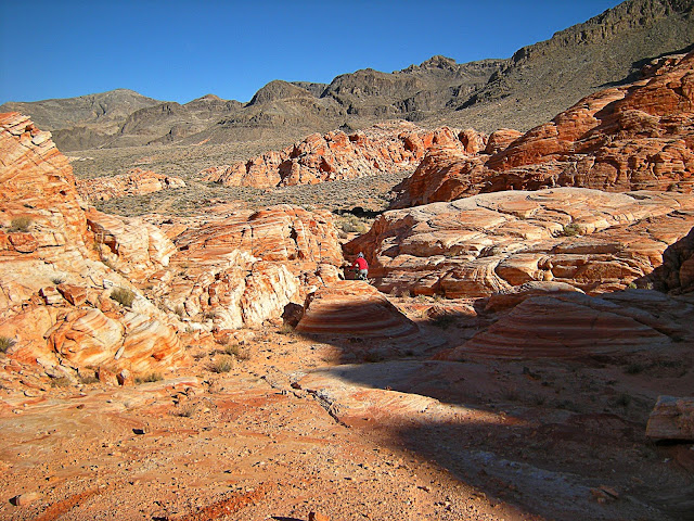 Buffington pocket Clark County Nevada Valley of Fire Muddy Mountains thrust belt Jurassic Cambrian geology travel field trip copyright rocdoctravel.com