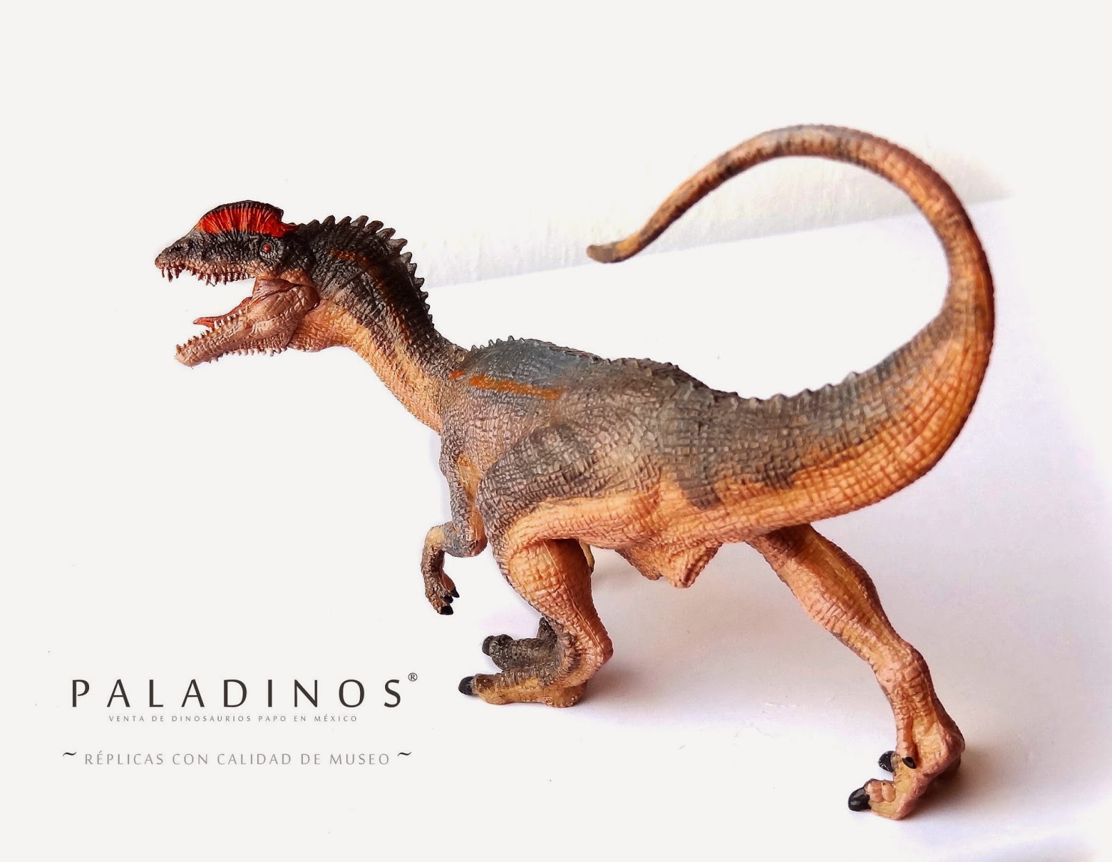 http://paladinos-mexico.com/productos/carnivoros/dilophosaurus/