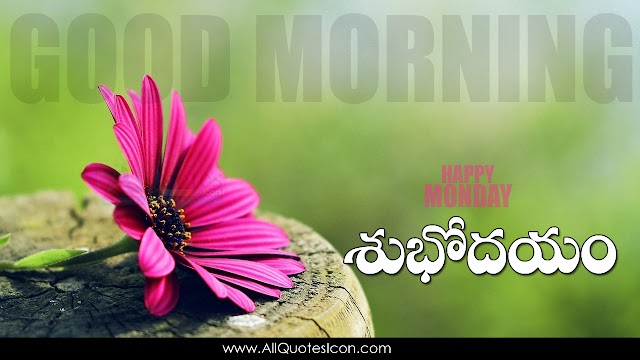 Telugu Good Morning Wishes Wallpapers Best Subhodaym Subhakamkshalu Telugu Quotes Free Download Online Pictures