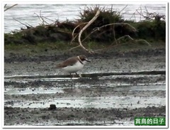 20110109_140502_343_Jiaoxi