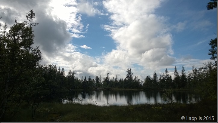 WP_20150806_056