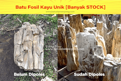 batu fosil kayu poles dan belum poles