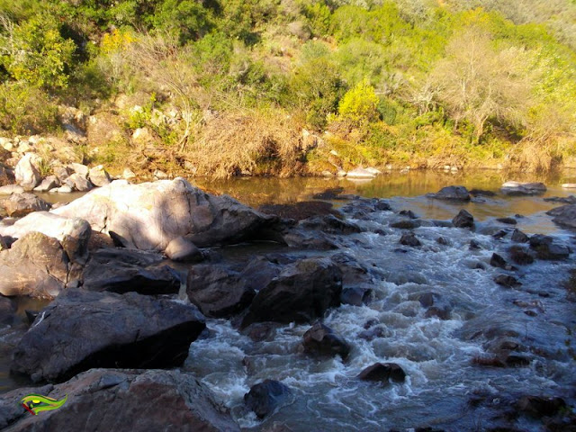 Ruta de Los Puentes (Sierra Morena Cordobesa)