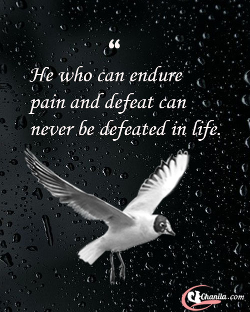 Quote of the day, today quote, today’s quote, quote today, today’ best quote, best quote of the day, amazing quote of the day, happy quote of the day, motivational quote of the day, inspirational quote of the day, encouraging quote of the day, life quote of the day,  Quotes For The Day, happy quotes, Quotes on gratitude, best gratitude quotes, quotes about gratitude, future quotes, best teaching quotes, life quotes, best quotes, motivational quotes, amazing gratitude quotes, Amazing quotes, amazing teaching quotes, inspirational quotes, quotes, all gratitude quotes, Deep quotes, deep gratitude quotes, emotional quotes, best emotional quotes, encouraging quotes, Inspirational quotes. Freedom quotes, future quotes, focus quotes, life changing Quotes, life quotes, quotes to get success. Love quotes, relationship quotes, famous quotes, Friendship quotes. , Funny quotes, good quotes, jealousy quotes, chanila, chanila.com, chanila quote