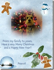 IMG_0708 christmas edit