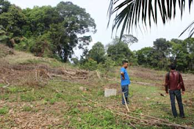 PTPN III Kebun Bangun dituding melakukan pengerusakan tanaman masyarakat